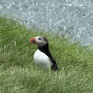 Faroe Islands 2025